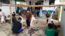 Penyembelihan Hewan Qurban Jamaah Masjid Al Munawwaroh dan Al Iklas Padukuhan Mendang